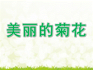 小班科学《美丽的菊花》PPT课件教案small82ab9b3942d28c356dfbe38387b482d4.ppt