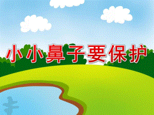 小班《小小鼻子要保护》PPT课件教案PPT课件.pptx