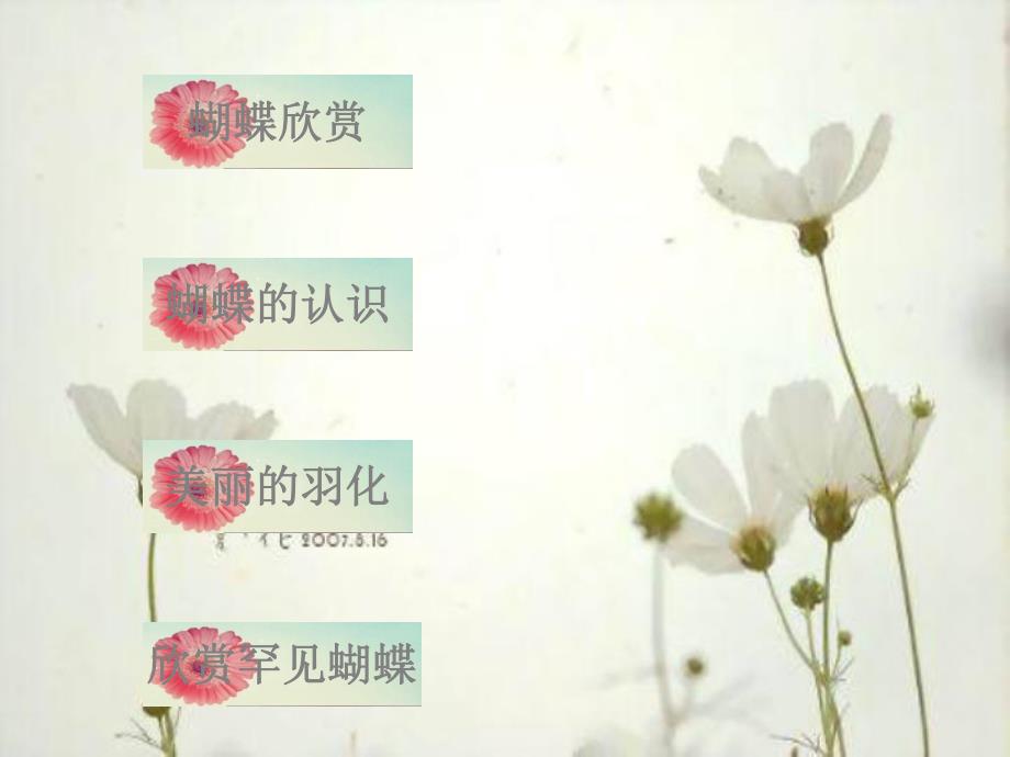 小班科学《美丽的蝴蝶》PPT课件教案小班科学-美丽的蝴蝶.ppt_第2页