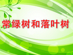 大班科学《常绿树和落叶树》PPT课件教案常绿树和落叶树.pptx