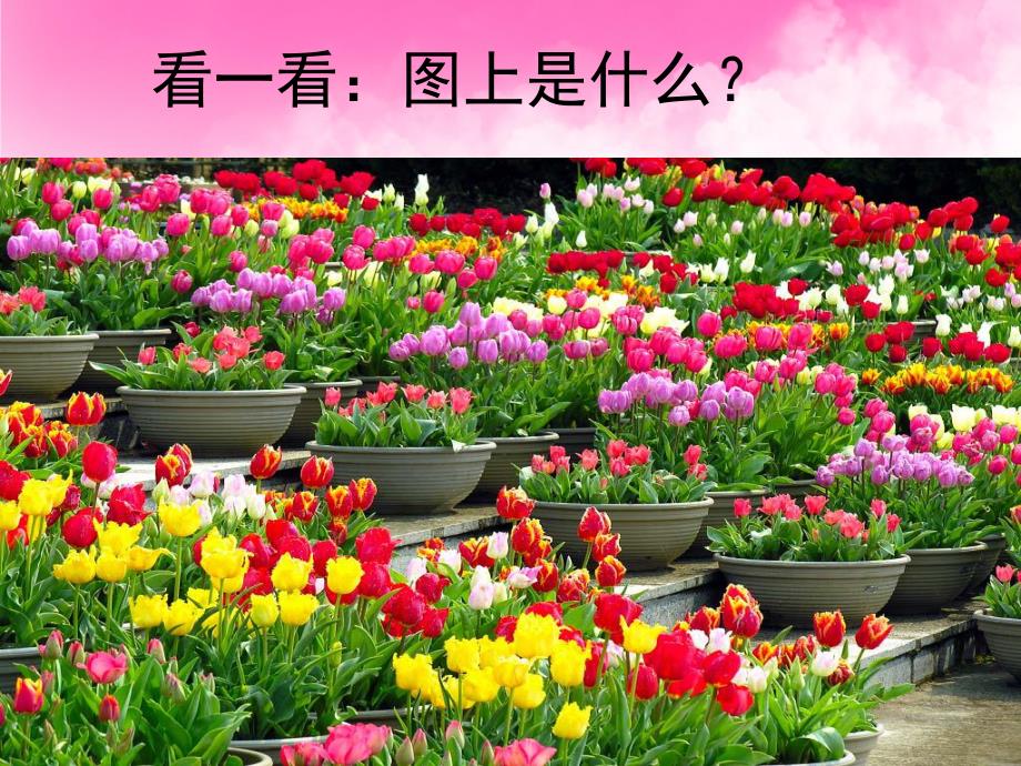 小班数学活动《认识颜色和形状》PPT课件教案PPT课件.ppt_第3页