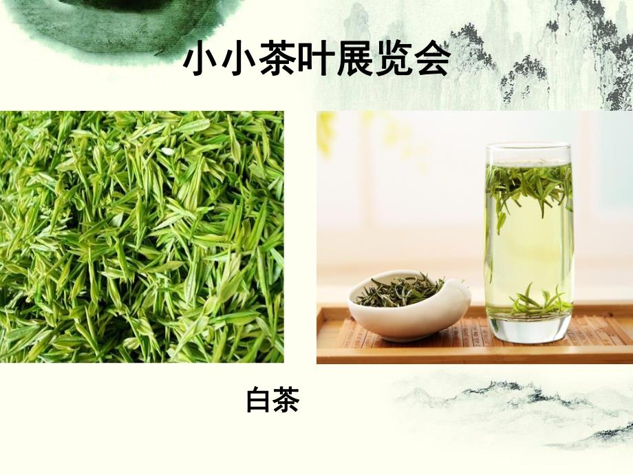大班社会《茶香》PPT课件教案大班社会茶香.pptx_第3页