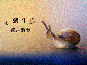 大班语言《和蜗牛一起去散步》PPT课件和蜗牛一起去散步(1).pptx