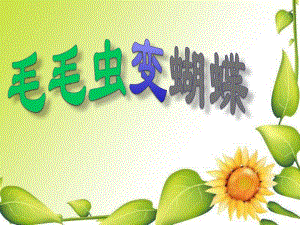 幼儿园《毛毛虫变蝴蝶》PPT课件教案毛毛虫变蝴蝶(1).ppt