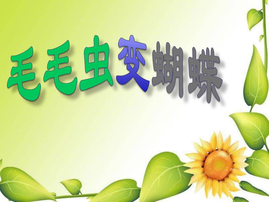 幼儿园《毛毛虫变蝴蝶》PPT课件教案毛毛虫变蝴蝶(1).ppt_第1页