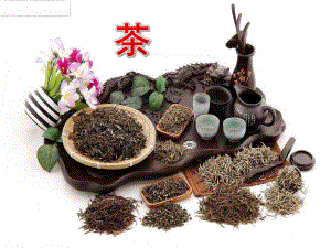 大班科学活动《茶》PPT课件教案PPT课件.pptx