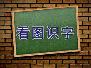 大班语文《看图识字》PPT课件设计幼儿园大班语文教学课件——看图识字.pptx