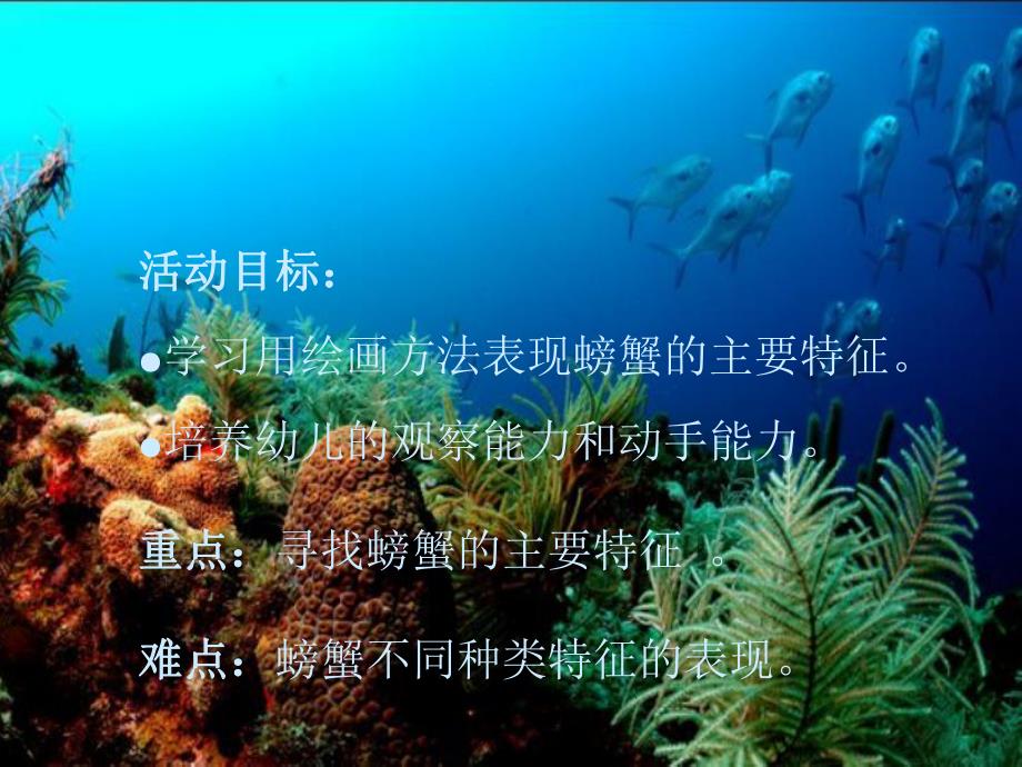 幼儿园《画螃蟹》PPT课件教案画螃蟹课件.ppt_第2页