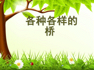 幼儿园《各种各样的桥》PPT课件教案欣赏：各种各样的桥.ppt