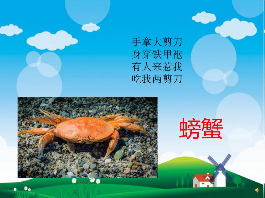 幼儿园动物儿歌《螃蟹》PPT课件配音音乐PPT课件.ppt_第2页