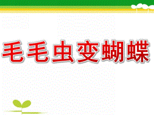 幼儿园活动《毛毛虫变蝴蝶》PPT课件教案毛毛虫变蝴蝶课件.ppt