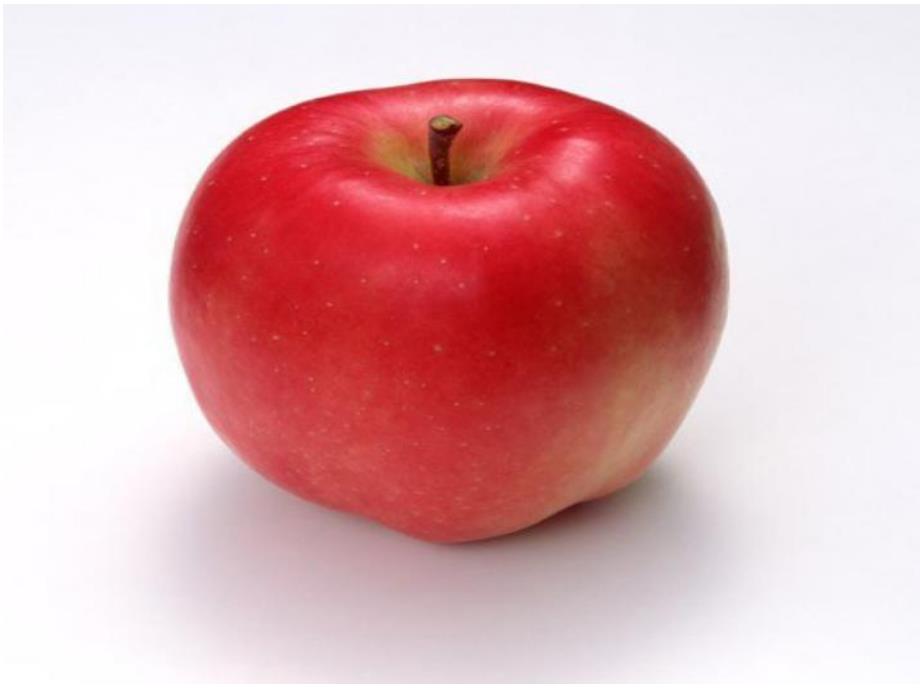 小班数学活动《发现1和许多》PPT课件教案PPT课件.ppt_第3页