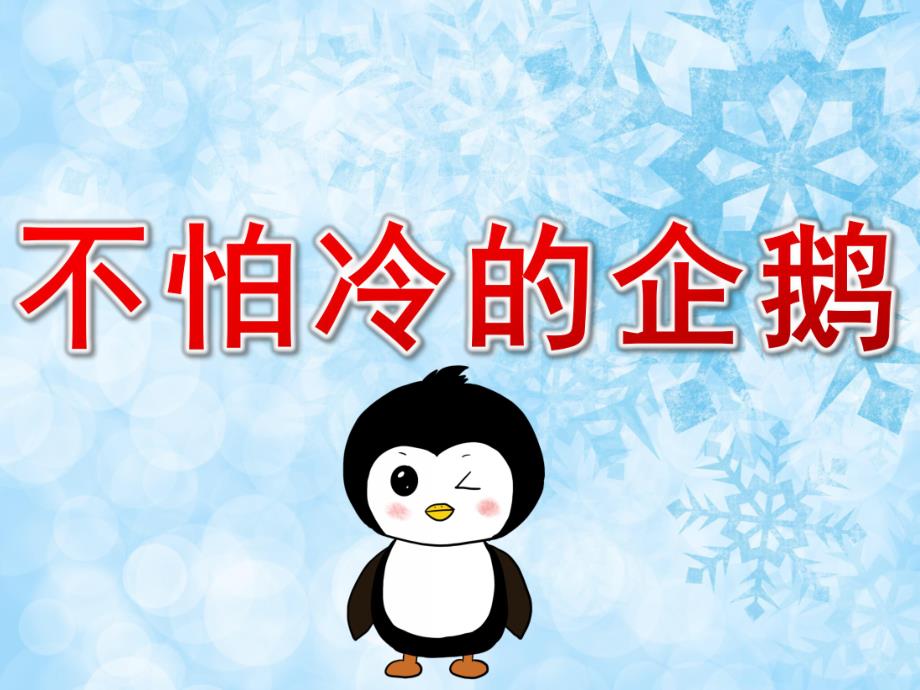 中班科学活动《不怕冷的企鹅》PPT课件教案PPT课件.pptx_第1页