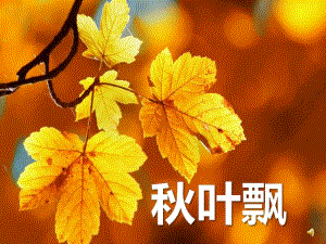 小班语言《叶飘》PPT课件教案配音版本1.ppt