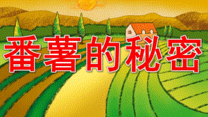 幼儿园《番薯的秘密》PPT课件教案课程：《番薯的秘密》.pptx