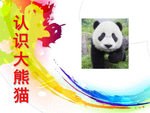 幼儿园《认识大熊猫》PPT课件教案《认识大熊猫》课件.ppt