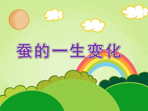 大班科学《蚕的一生变化》PPT课件教案蚕的一生变化.pptx