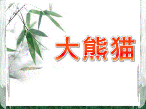 小班绘画《大熊猫》PPT课件教案小班少儿绘画大熊猫.pptx