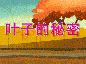 大班科学《叶子的秘密》PPT课件教案PPT课件.pptx