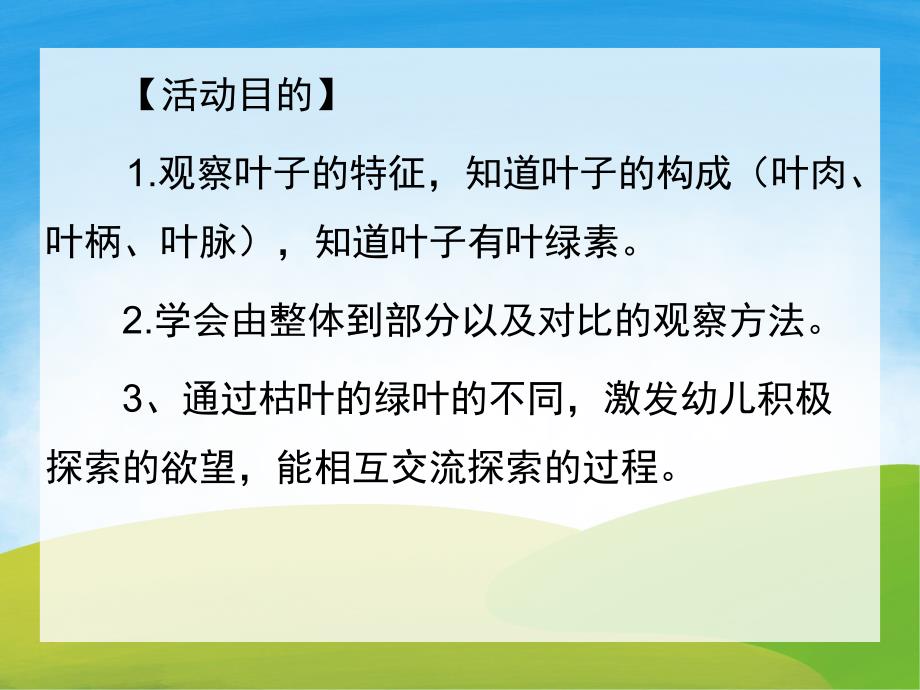 大班科学《叶子的秘密》PPT课件教案PPT课件.pptx_第2页