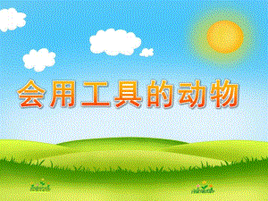 大班科学活动《会用工具的动物》PPT课件大班科学活动：会用工具的动物-PPT课件.pptx