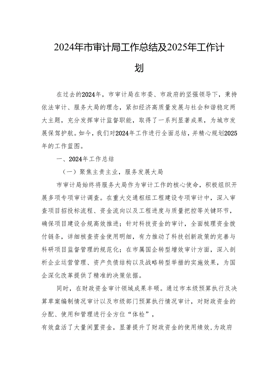 2024年市审计局工作总结及2025年工作计划.docx_第1页
