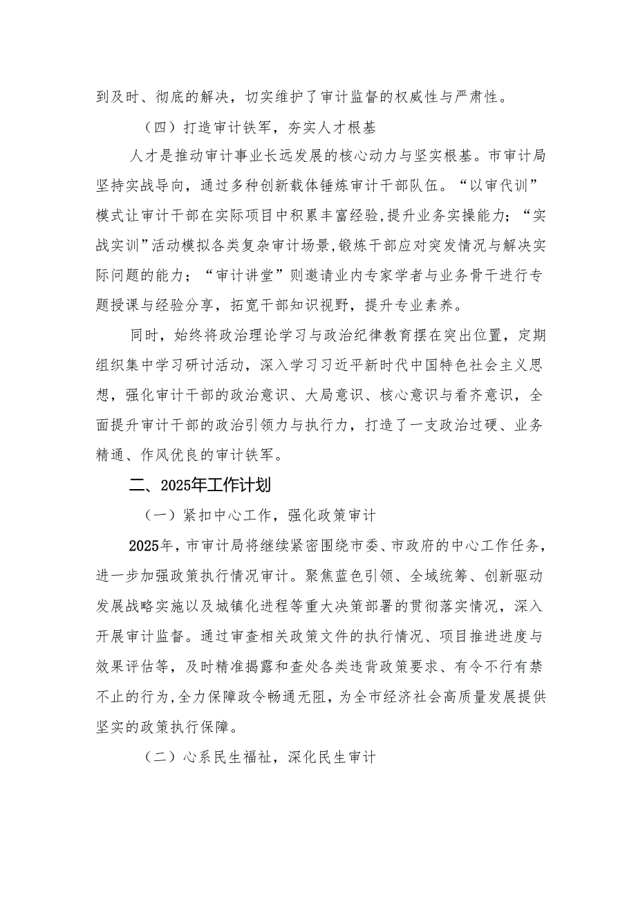2024年市审计局工作总结及2025年工作计划.docx_第3页