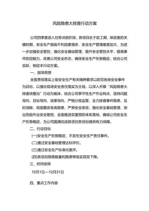 风险隐患大排查行动方案.docx