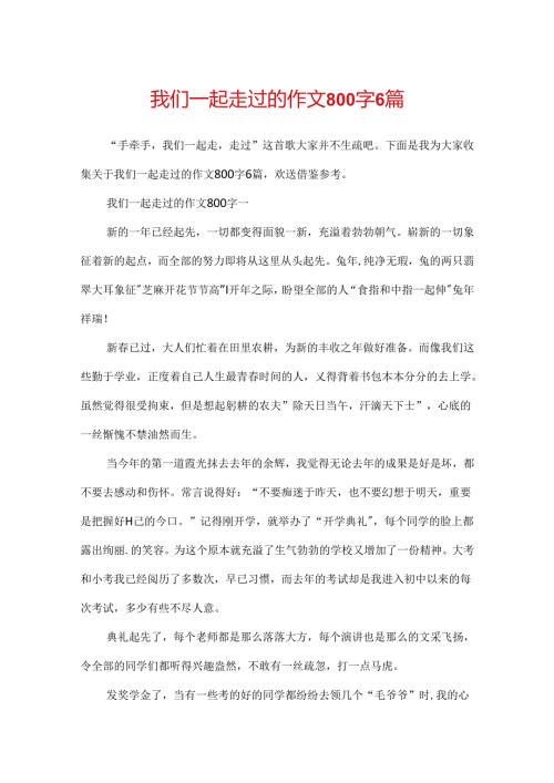 我们一起走过的作文800字6篇.docx