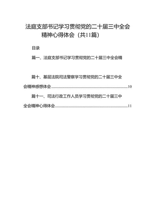 （11篇）法庭支部书记学习贯彻党的二十届三中全会精神心得体会范文.docx