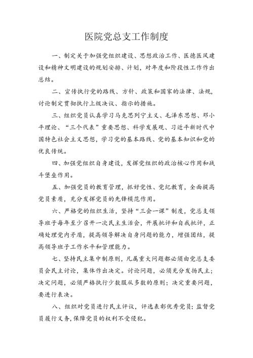 医院党总支工作制度.docx