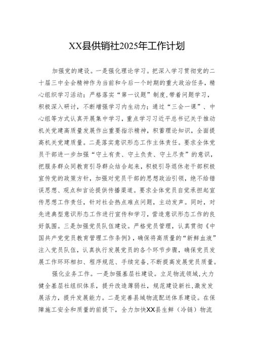 供销社2025年工作计划.docx