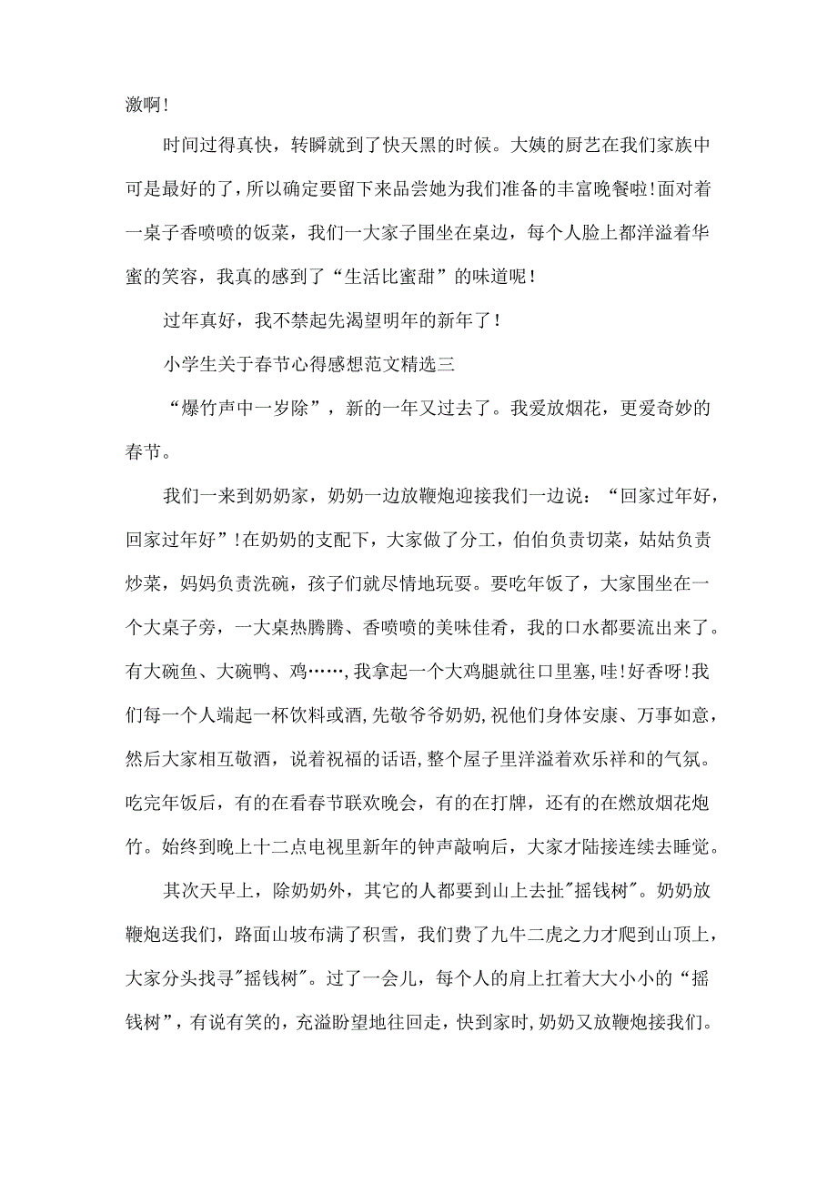 小学生关于春节心得感想范文精选.docx_第3页