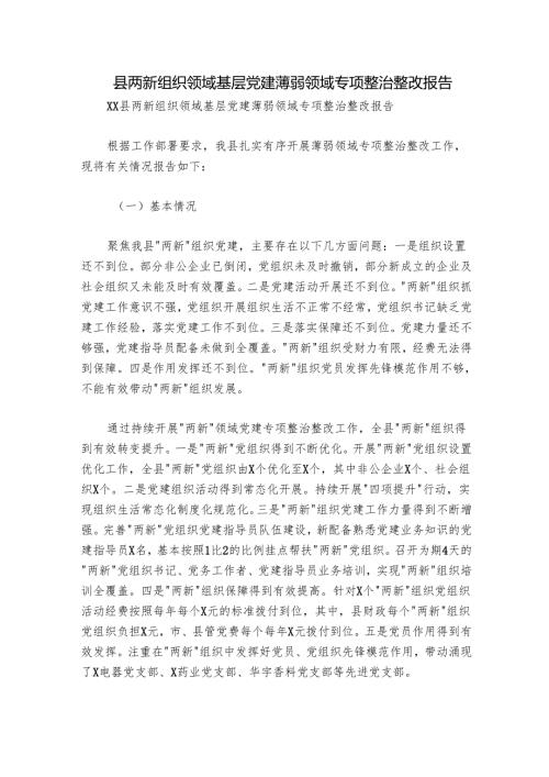 县两新组织领域基层党建薄弱领域专项整治整改报告.docx