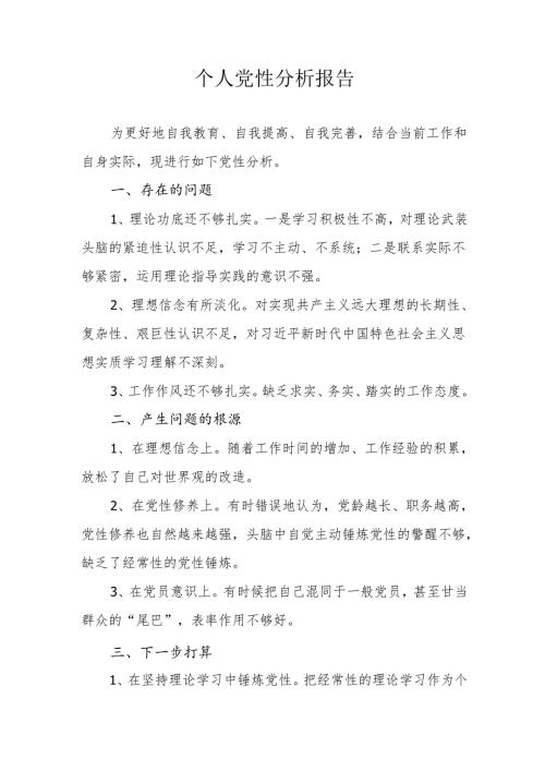 2024个人党性分析报告.docx
