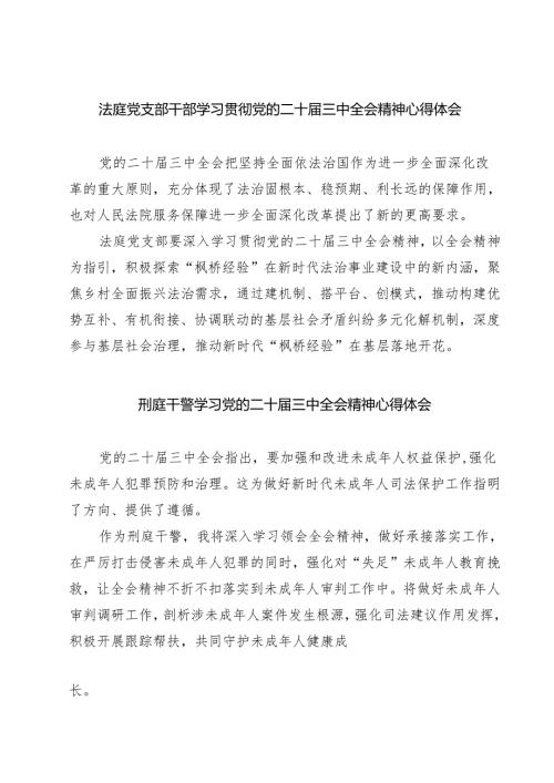 法庭党支部干部学习贯彻党的二十届三中全会精神心得体会（共七篇）.docx