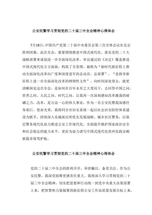 （11篇）公安民警学习贯彻党的二十届三中全会精神心得体会参考范文.docx
