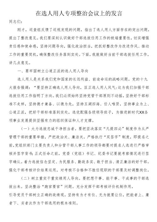 在选人用人专项整治会议上的发言.docx