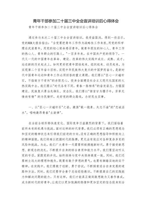青年干部参加二十届三中全会宣讲培训后心得体会.docx