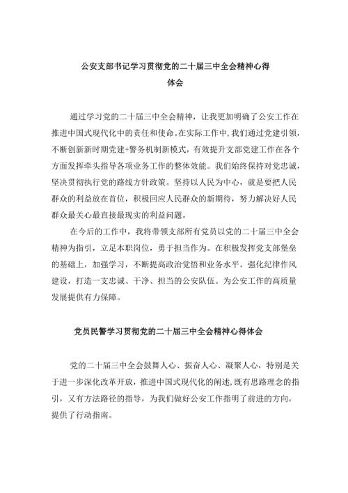 （11篇）公安支部书记学习贯彻党的二十届三中全会精神心得体会（精选）.docx