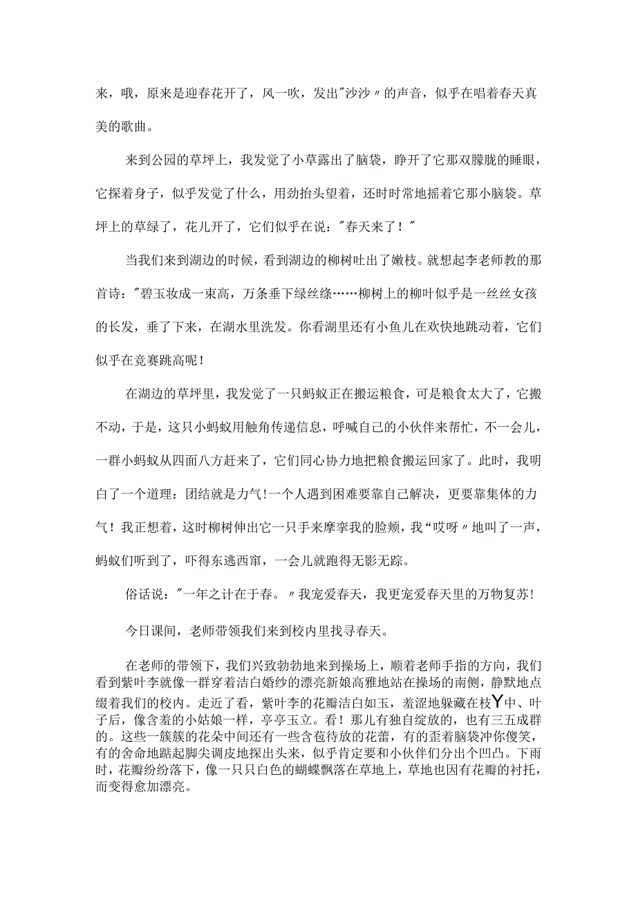 春天的发现话题的作文.docx_第3页