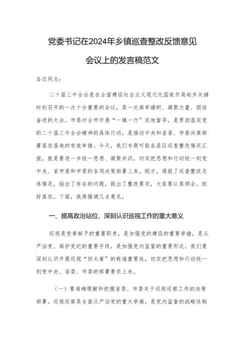 党委书记在2024年乡镇巡查整改反馈意见会议上的发言稿范文.docx