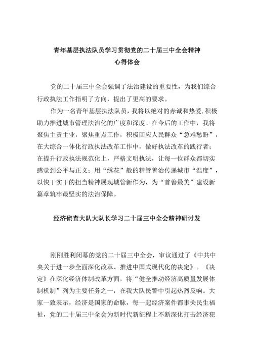 （11篇）青年基层执法队员学习贯彻党的二十届三中全会精神心得体会（最新版）.docx