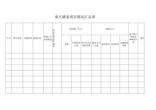 重大储备项目情况汇总表.docx