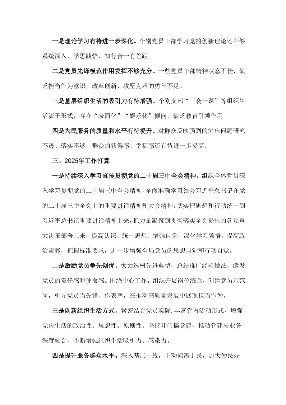 2024年党建工作总结2010字范文.docx_第3页