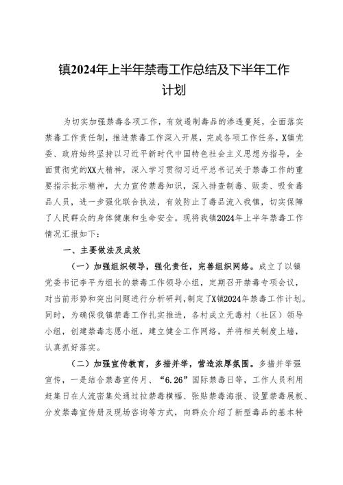 镇2024年上半年禁毒工作总结.docx