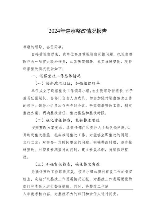 2024年巡察整改情况报告.docx