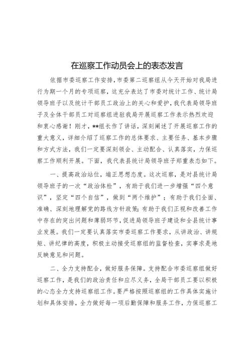 在巡察工作动员会上的表态发言.docx