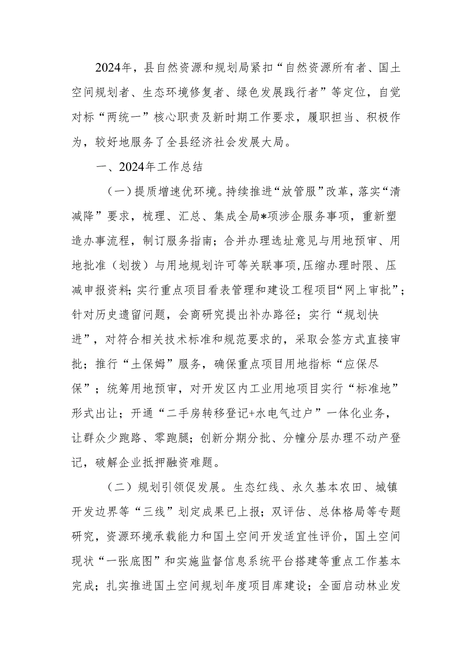 自然资源和规划局2024年工作总结.docx_第1页