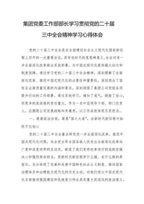 集团党委工作部部长学习贯彻党的二十届三中全会精神学习心得体会.docx